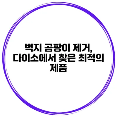 벽지 곰팡이 제거, 다이소에서 찾은 최적의 제품