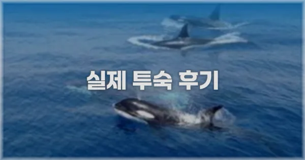💬 실제 투숙 후기