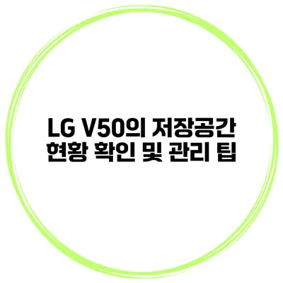 LG V50의 저장공간 현황 확인 및 관리 팁
