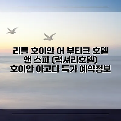리틀 호이안 어 부티크 호텔 앤 스파 (럭셔리호텔) 호이안 아고다 특가 예약정보