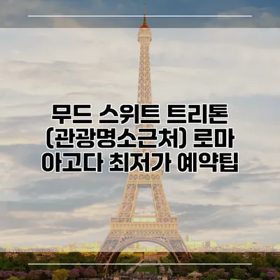 무드 스위트 트리톤 (관광명소근처) 로마 아고다 최저가 예약팁