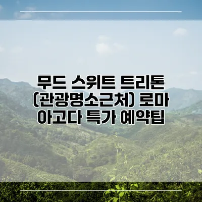 무드 스위트 트리톤 (관광명소근처) 로마 아고다 특가 예약팁