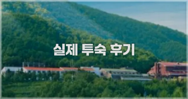💬 실제 투숙 후기
