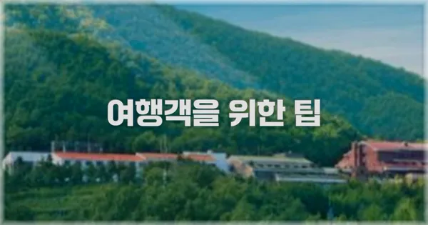 여행객을 위한 팁