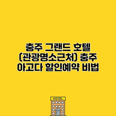 충주 그랜드 호텔 (관광명소근처) 충주 아고다 할인예약 비법