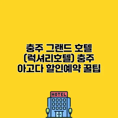 충주 그랜드 호텔 (럭셔리호텔) 충주 아고다 할인예약 꿀팁