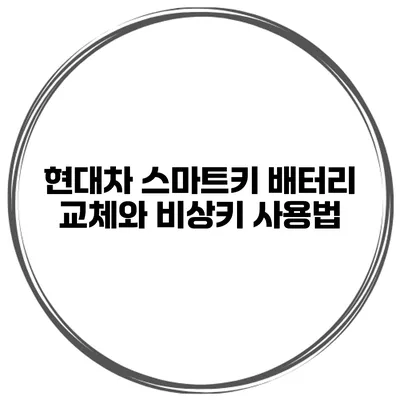 현대차 스마트키 배터리 교체와 비상키 사용법