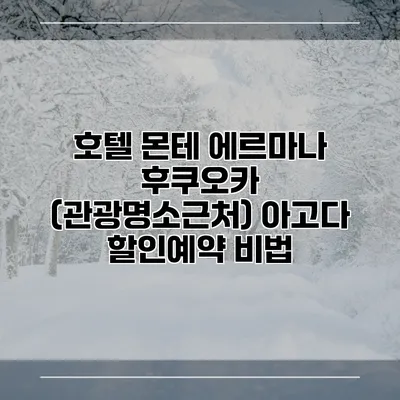 호텔 몬테 에르마나 후쿠오카 (관광명소근처) 아고다 할인예약 비법